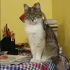 Отзыв от Зоя Шаповалова